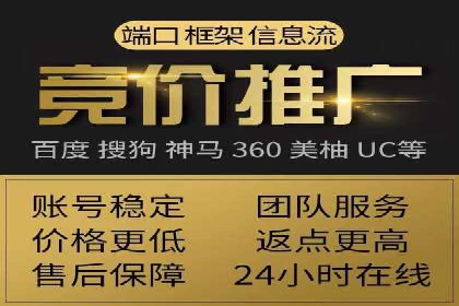 某行业巨头背后的SEM代运营服务公司